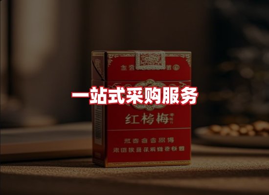 专业团队